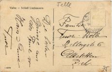Vaduz - Schloss Liechtenstein - Künstler-AK Eugen Felle