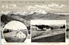 Schletteralm - Künstler-AK Eugen Felle