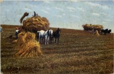 Landwirtschaft Pferdegespann