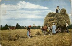 Landwirtschaft Wagengespann