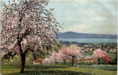 Wasserburg am Bodensee