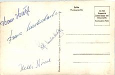 Inn-Spatzen, div. Bilder