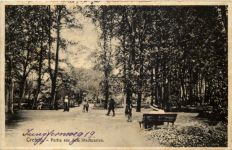 Krefeld, Partie aus dem Stadtgarten