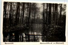 Spreewald, Spreewaldbank im Hochwald