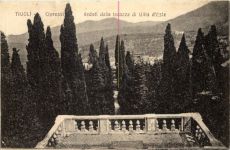 Tivoli-Cipressi