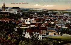Weida von der Alpenrose