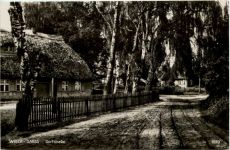 Wieck Darss - Dorfstrasse