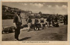 Mazedonien - Schaf und Ziegenmarkt am Wardarfluss - Feldpost