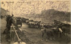 Armee belge - Feldpost