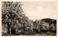 Jugenheim a. d. B.