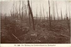 Wirkung des Artilleriefeuers im Waldgebiet