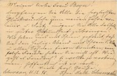 Ganzsache gelaufen in Schwaan