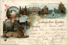 Düsseldorf - Gruss aus dem Zoologischen Garten - Litho