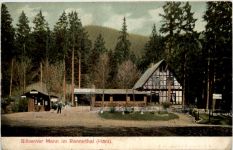 Silberner Mann im Rennethal