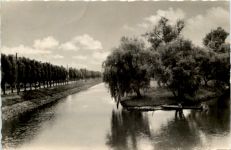 Lübben im Spreewald, Abend an der Spree