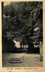 Alterstedt, Kirchlinde