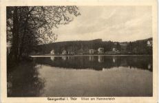 Georgenthal, Villen am Hammerteich