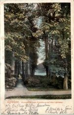 Ugleisee - Durchblick vom Forsthaus