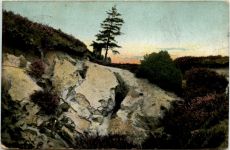 Lüneburger Heide - Sandbruch