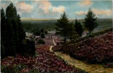 Lüneburger Heide - Weg durch den Totengrund bei Wilsede