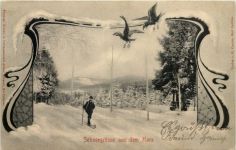 Schneegrüsse aus dem Harz - Ski