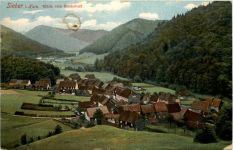 Sieber im Harz