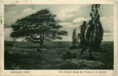 Lüneburger Heide - Am Wietzer Berge bei Müden