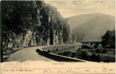 Bunte Kuh bei Walporzheim