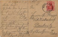 Schäfer gelaufen in Woxfelde Pommern
