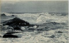 Dierhagen - Tobende See