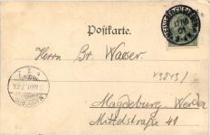 Aus der Letzlinger Heide