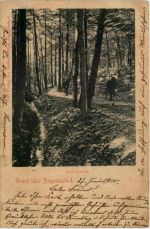 Gruss aus Augustusbad - Amselgrund