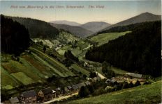 Blick vom Masserberg in das obere Schwarzatal