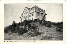 Wartenberg, Fürstlich Fürstenbergiscshes Schloss - Geisingen