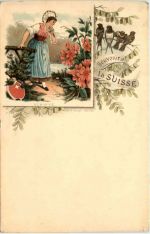 Souvenir de la Suisse - Schwyz - Litho Carl Künzli