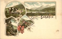 Gruss aus dem Engadin - Litho Carl Künzli