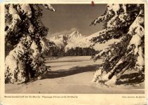 Winterlandschaft bei St. Moritz