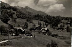 Chalets bei Grindelwald