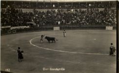 Stierkampf - Der Banderillo