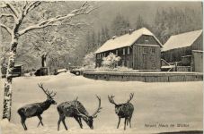 Tabarz - Neues Haus im Winter