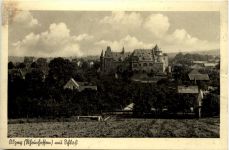 Alzey mit Schloss