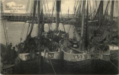 Zeebrugge - Chaloupes au bassin de pecne