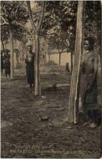 Golungo Alto - Roca Rio Zenza - Angola