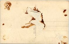 Paris - Notre Dame - Vue de Nuit