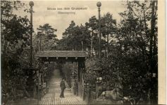 Gruss aus dem Grunewald - Hasensprung