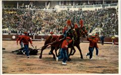 Corrida de Toros - Stierkampf