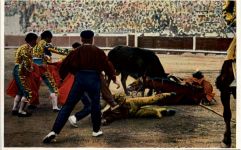 Corrida de Toros - Stierkampf