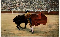 Corrida de Toros - Stierkampf