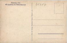 Kamenz i. Sa., Der Hutberg im Blütenschmuck