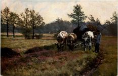 Wagengespann mit Kühen